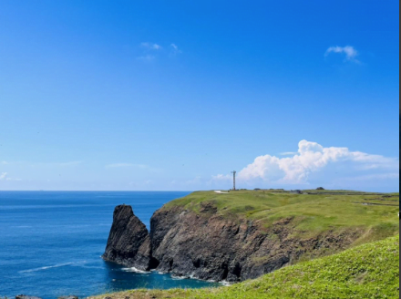 截圖 2024-05-22 下午2.19.49